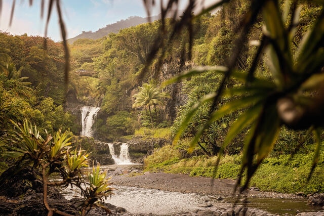 Picturesque waterfalls visible from Hana Highway, Maui, Hawaii. 