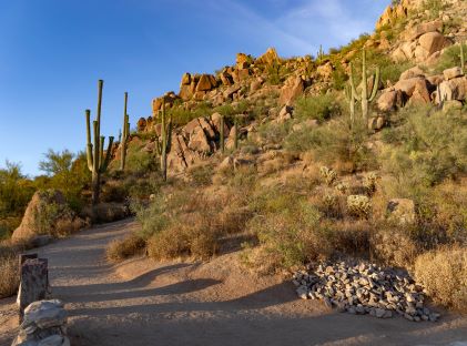 Desert hiking trail at McDowell Sonoran Preserve in Scottsdale, Arizona