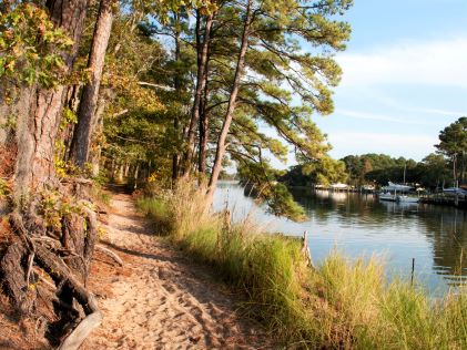 Trail in First Landing State Park in Virginia Beach, Virginia