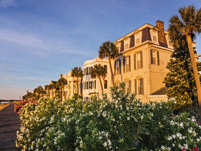 Flowers blooming along The Battery in Charleston, South Carolina. 