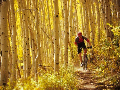 Man on an electric mountain bike on a fall foliage colored bike trail in Park City, Utah. 