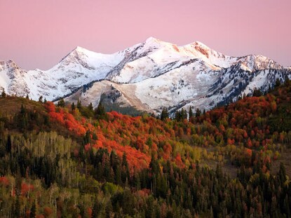 Snowcapped mountains nestled among fall colored trees and pink painted sunset skies in Park City, Utah. 