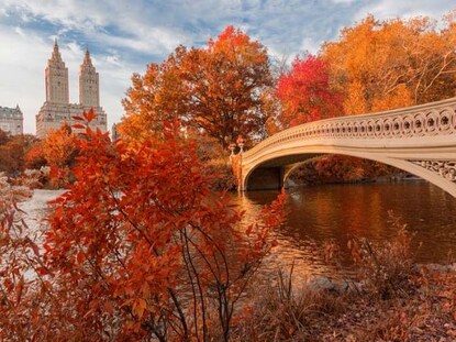 Stunning fall foliage in New York City.